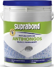 PINTURA ANTIHONGOS X 1 LTS